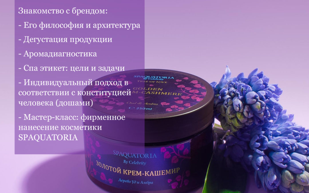 «Обзорный семинар с фирменным стилем от  SPAQUATORIA»